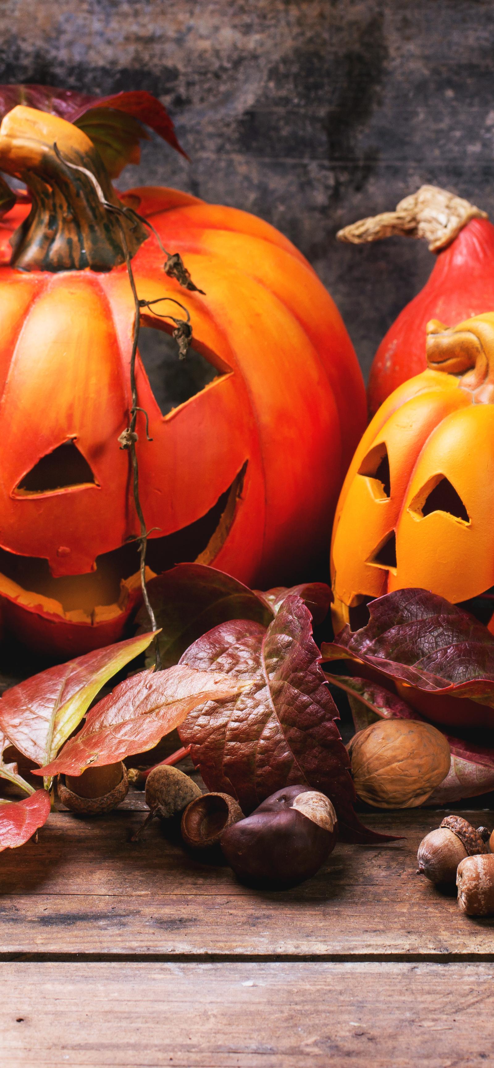 Little Rock Hosts Halloween Markets, Zoo Shows, Book Talks This Weekend